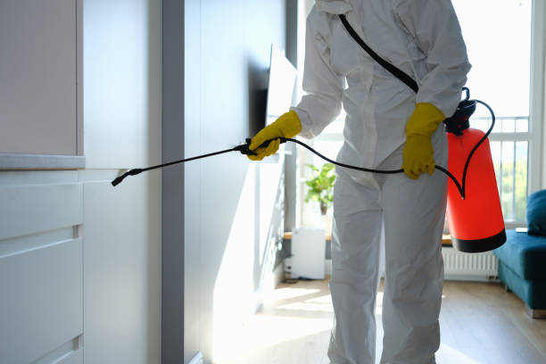 Why You Should Choose Our Mold Remediation Services in Brambleton, VA